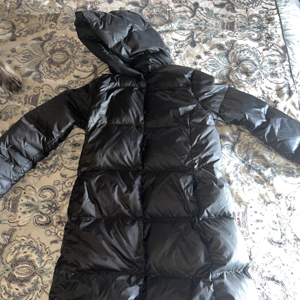 Coat